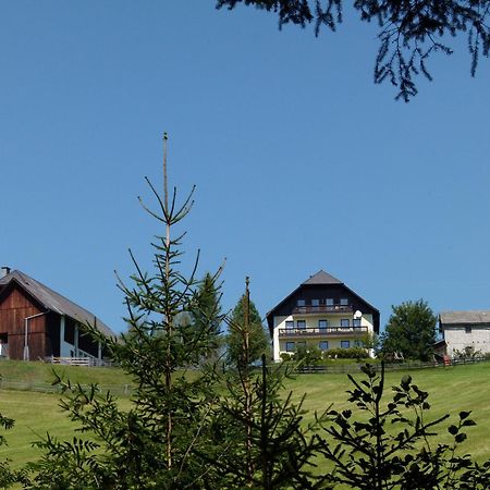 Ferienwohnungen Bachergut Mariapfarr Room photo