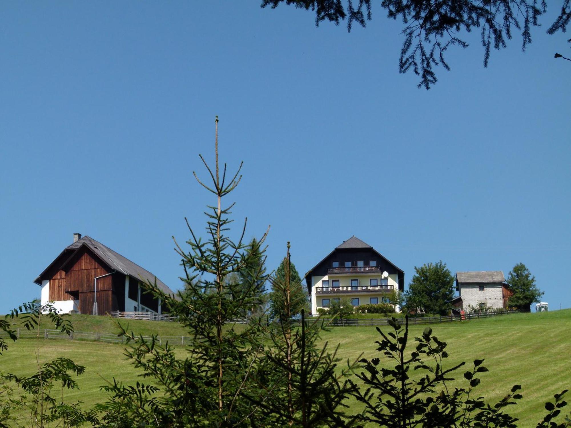Ferienwohnungen Bachergut Mariapfarr Room photo